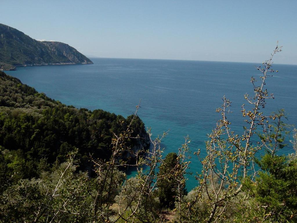 Ξενοδοχείο Αστήρ Καρλόβασι Εξωτερικό φωτογραφία