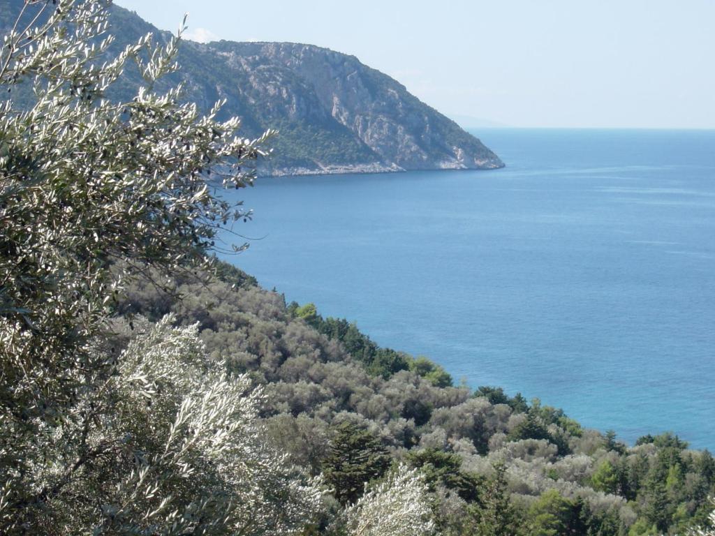 Ξενοδοχείο Αστήρ Καρλόβασι Εξωτερικό φωτογραφία